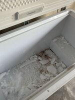 IMG_9158.jpeg