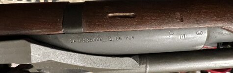 IMG_1978.jpeg