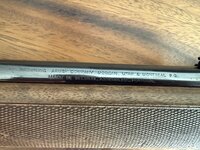 IMG_0477.jpeg