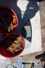 100_2093.JPG