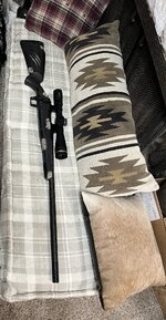 IMG_7324.jpeg