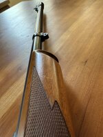 IMG_7872.jpeg