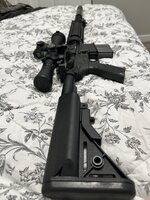 IMG_3390.jpeg