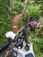IMG_20250710_110527098.jpg