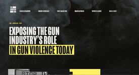 The Smoking Gun web site.jpg