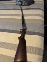 IMG_6972.jpeg
