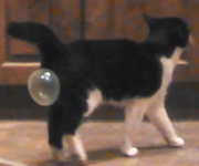 1752719719839.png