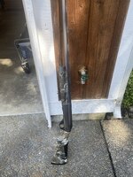IMG_1975.jpeg