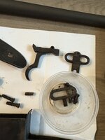 IMG_1767.jpeg
