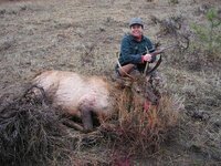 Linda's elk.jpg
