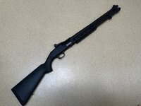 IMG_4006.jpeg