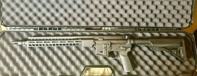 IMG_1356.jpeg