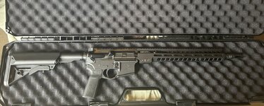 IMG_1355.jpeg