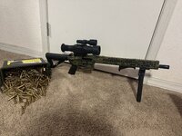 IMG_8835.jpeg