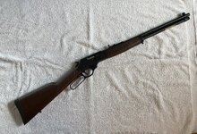 IMG_0803.jpeg