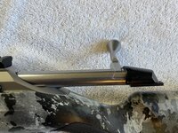IMG_0817.jpeg