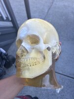IMG_0996.jpeg