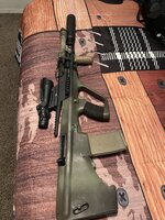 IMG_3562.jpeg