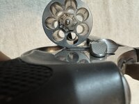 IMG_1255.jpeg