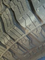IMG_5092.jpeg