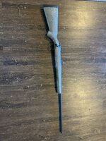 IMG_1709.jpeg