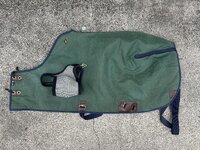 IMG_1737.jpeg