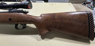 IMG_0052.jpeg
