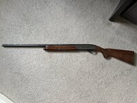 IMG_0230.jpeg