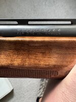 IMG_0232.jpeg