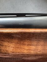IMG_0233.jpeg