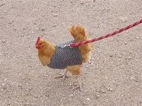 1754530371411.png