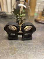 IMG_1753.jpeg