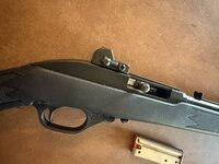 IMG_3788.jpeg