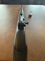 IMG_3790.jpeg