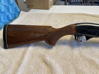 IMG_0439.jpg