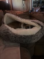 IMG_3154.jpeg