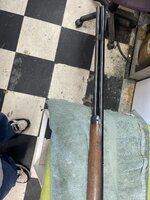 IMG_5300.jpeg