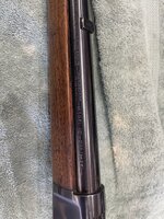 IMG_5301.jpeg