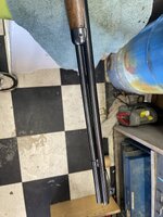 IMG_5304.jpeg