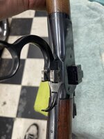 IMG_5310.jpeg