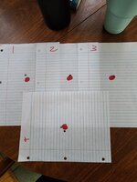 1000003844.jpg