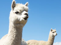 AdobeStock_107406686-1024x768.jpeg