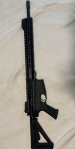 IMG_2929.jpeg