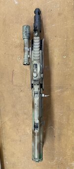 IMG_7328.jpeg