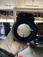IMG_0383.jpeg
