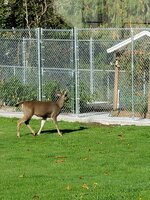 20201022_121543.jpg
