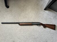 IMG_0319.jpeg