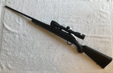 IMG_0958.jpeg