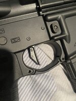 IMG_3235.jpeg