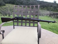 IMG_1341.jpeg